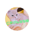 ゆめちゃんスタンプ3❤（個別スタンプ：14）