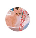 ゆめちゃんスタンプ3❤（個別スタンプ：18）