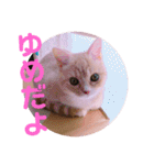 ゆめちゃんスタンプ3❤（個別スタンプ：19）