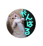ゆめちゃんスタンプ3❤（個別スタンプ：22）