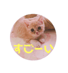 ゆめちゃんスタンプ2❤（個別スタンプ：4）