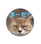ゆめちゃんスタンプ2❤（個別スタンプ：7）