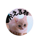 ゆめちゃんスタンプ2❤（個別スタンプ：9）