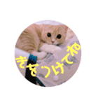 ゆめちゃんスタンプ2❤（個別スタンプ：10）