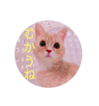 ゆめちゃんスタンプ2❤（個別スタンプ：11）