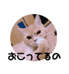 ゆめちゃんスタンプ2❤（個別スタンプ：15）