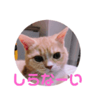 ゆめちゃんスタンプ2❤（個別スタンプ：18）