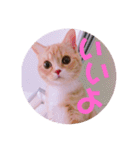 ゆめちゃんスタンプ2❤（個別スタンプ：22）