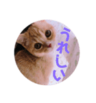 ゆめちゃんスタンプ2❤（個別スタンプ：24）