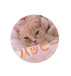 ゆめちゃんスタンプ2❤（個別スタンプ：31）