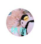 ゆめちゃんスタンプ2❤（個別スタンプ：35）