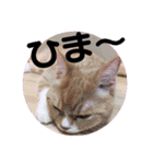 ゆめちゃんスタンプ2❤（個別スタンプ：37）