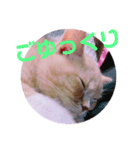 ゆめちゃんスタンプ2❤（個別スタンプ：40）