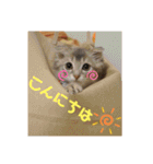 でっつぁん。（個別スタンプ：6）