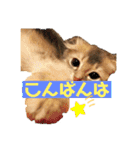 でっつぁん。（個別スタンプ：7）