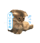 でっつぁん。（個別スタンプ：9）