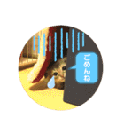 でっつぁん。（個別スタンプ：10）
