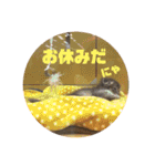 でっつぁん。（個別スタンプ：13）