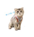 でっつぁん。（個別スタンプ：14）
