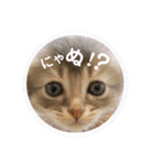 でっつぁん。（個別スタンプ：16）
