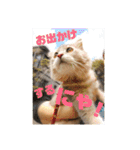 でっつぁん。（個別スタンプ：22）