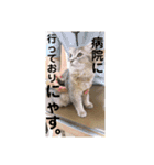 でっつぁん。（個別スタンプ：23）