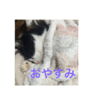 ボク、ろく。（個別スタンプ：2）
