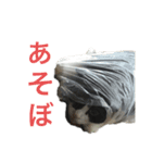 ボク、ろく。（個別スタンプ：4）