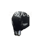 ボク、ろく。（個別スタンプ：5）