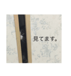 ボク、ろく。（個別スタンプ：13）