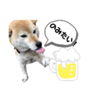 はなすた！（個別スタンプ：4）