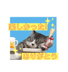 サバシロの日常（個別スタンプ：10）