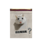 寵物生活照（個別スタンプ：1）