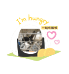 寵物生活照（個別スタンプ：4）