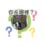 寵物生活照（個別スタンプ：15）