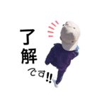 RAITO3（個別スタンプ：1）