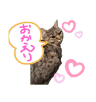 小次郎と仲間達（個別スタンプ：7）