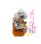 小次郎と仲間達（個別スタンプ：9）