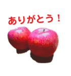 花と林檎のひとことスタンプ（個別スタンプ：1）