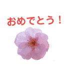 花と林檎のひとことスタンプ（個別スタンプ：2）