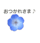 花と林檎のひとことスタンプ（個別スタンプ：4）