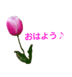 花と林檎のひとことスタンプ（個別スタンプ：6）