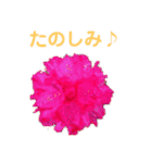 花と林檎のひとことスタンプ（個別スタンプ：11）