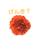 花と林檎のひとことスタンプ（個別スタンプ：13）