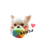 可愛いルルのおはなし（個別スタンプ：6）