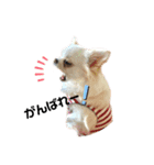 可愛いルルのおはなし（個別スタンプ：14）
