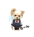 可愛いルルのおはなし（個別スタンプ：15）