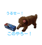 アールスタンプ੯•`໒（個別スタンプ：3）
