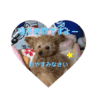 アールスタンプ੯•`໒（個別スタンプ：4）