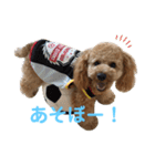 アールスタンプ੯•`໒（個別スタンプ：8）